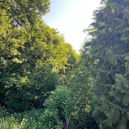 Escape Near River, Wolfsberg بيت للعطل *