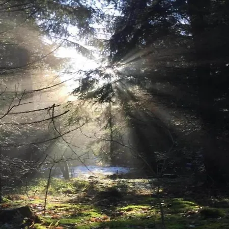 Escape Near River, Wolfsberg *