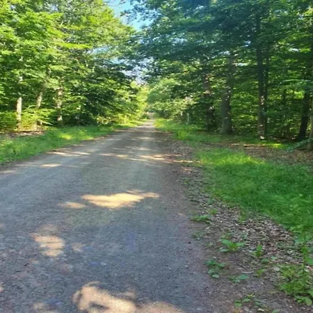 Escape Near River, Wolfsberg
