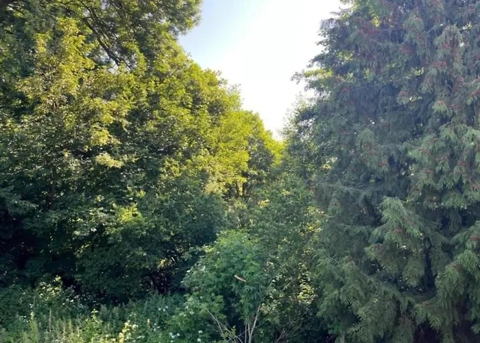 Escape Near River, Wolfsberg 別荘 *