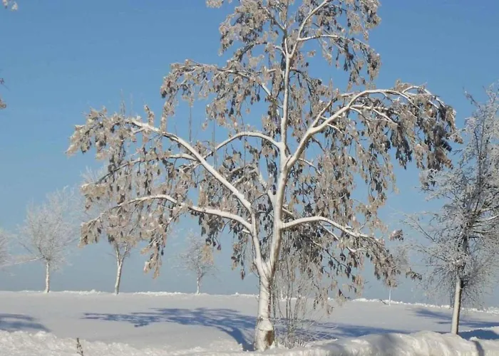 Escape Near River, Wolfsberg Stolberg i. Harz