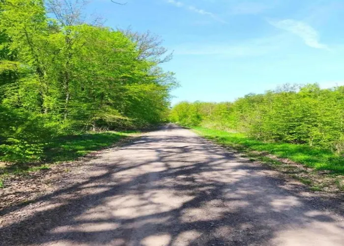 Escape Near River, Wolfsberg * Stolberg i. Harz