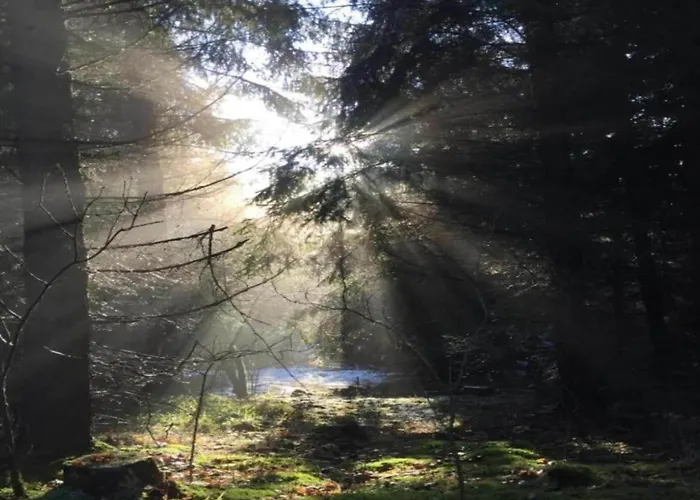 Escape Near River, Wolfsberg *