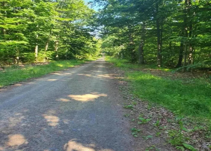 Escape Near River, Wolfsberg